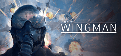 Project Wingman [v2.1.1a]